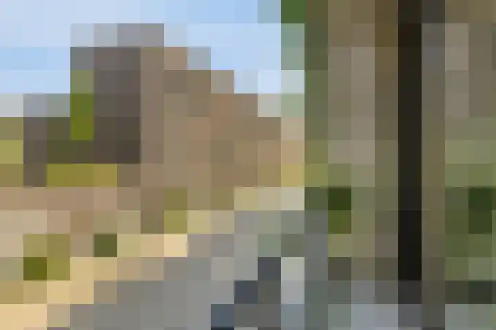 Busschuttenpoort 13 B 10 Maastricht thumbnail 20