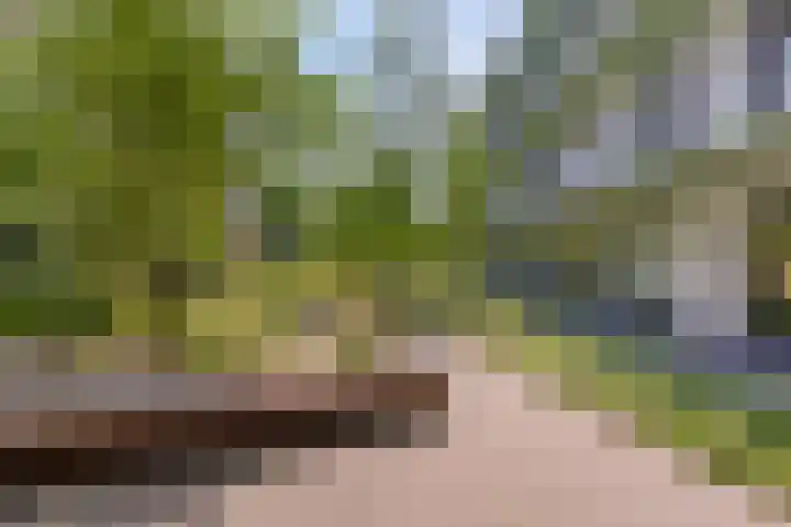 Busschuttenpoort 13 B 10 Maastricht thumbnail 21
