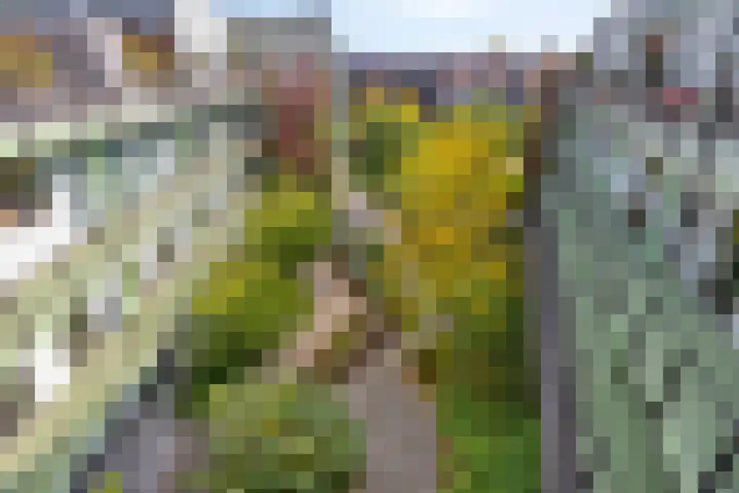 Busschuttenpoort 13 B 10 Maastricht thumbnail 31