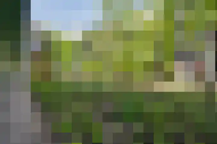 Busschuttenpoort 13 B 10 Maastricht thumbnail 4