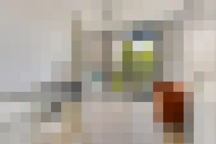 Busschuttenpoort 13 B 10 Maastricht thumbnail 9
