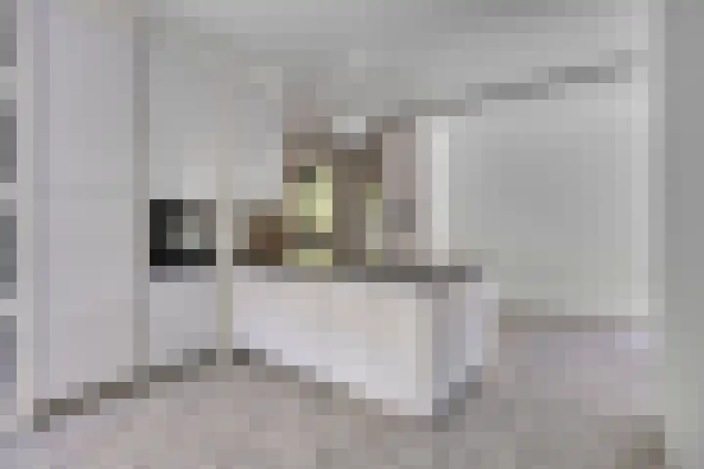 Busschuttenpoort 13 C 09 Maastricht thumbnail 18