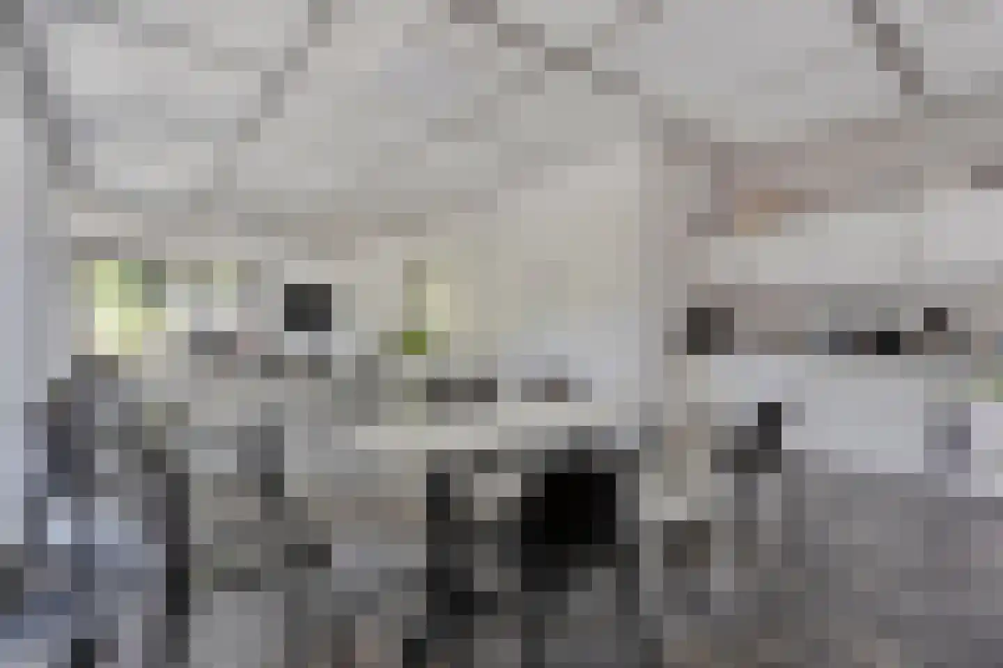 Busschuttenpoort 13 C 09 Maastricht thumbnail 39