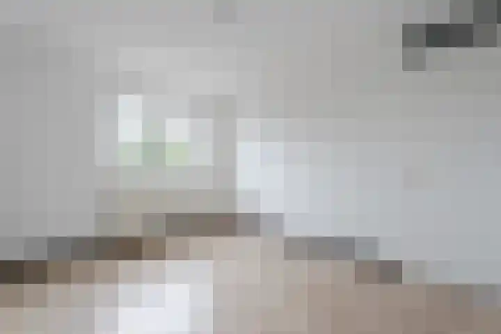 Busselstraat 4 Uden thumbnail 48