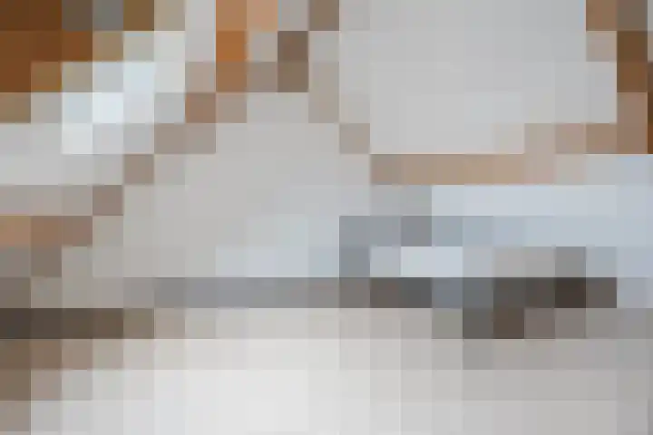 Busselstraat 4 Uden thumbnail 59