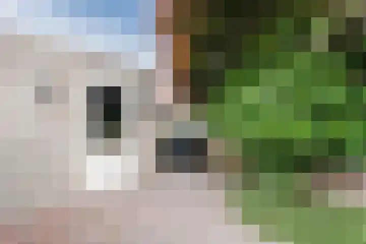 Busselstraat 4 Uden thumbnail 64