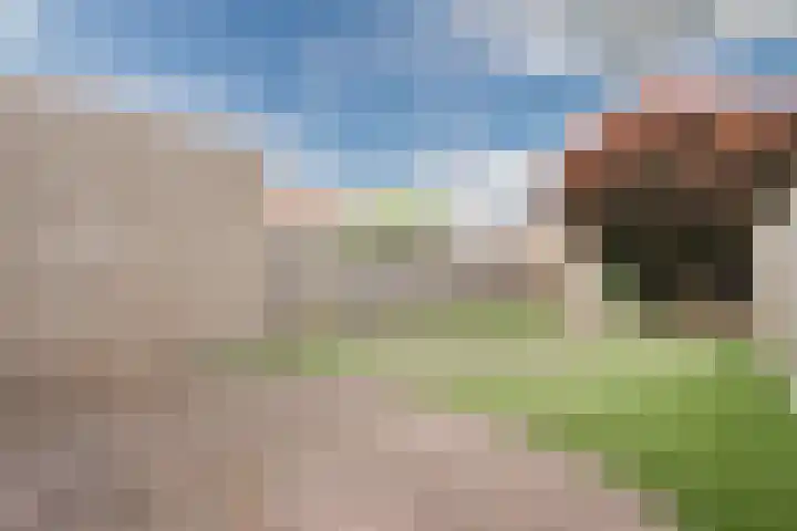 Busselstraat 4 Uden thumbnail 99