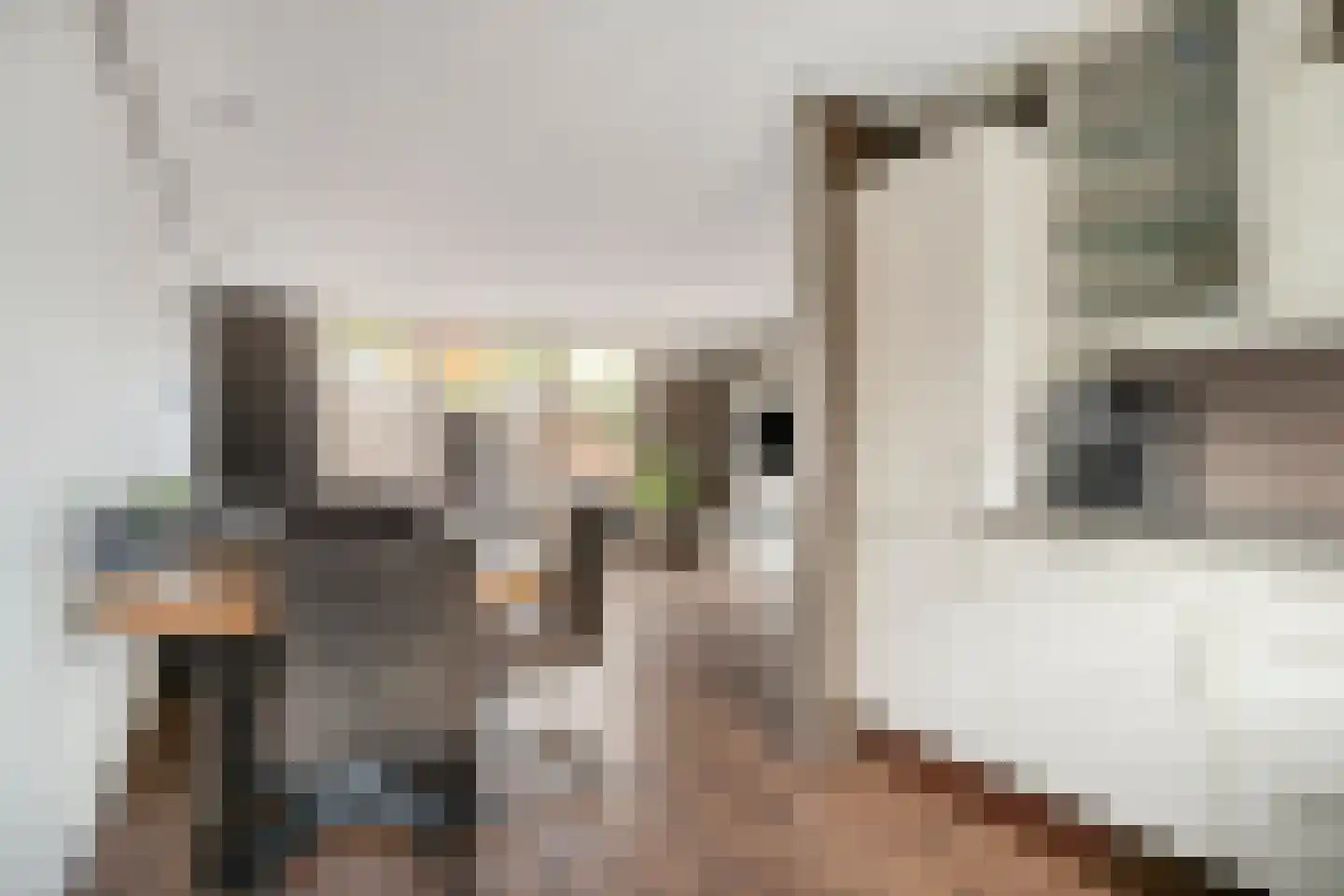 Busselstraat 7 Uden thumbnail 14