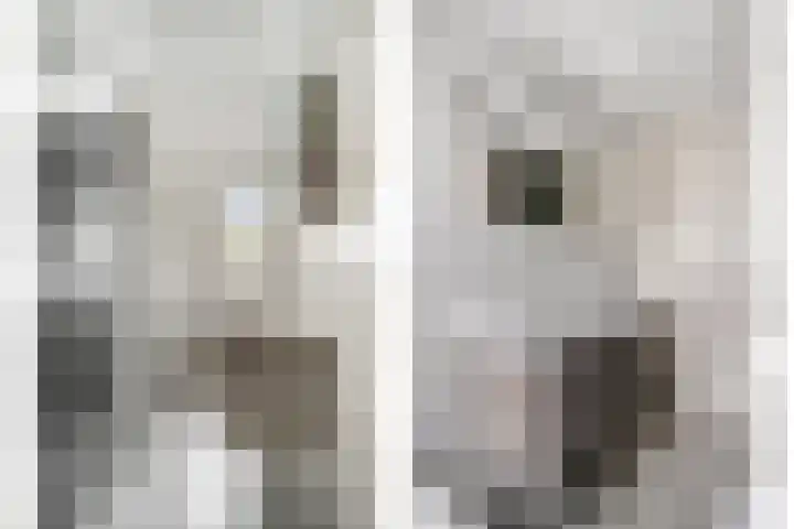 Busselstraat 7 Uden thumbnail 17