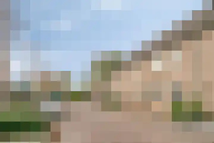 Busselstraat 7 Uden thumbnail 29