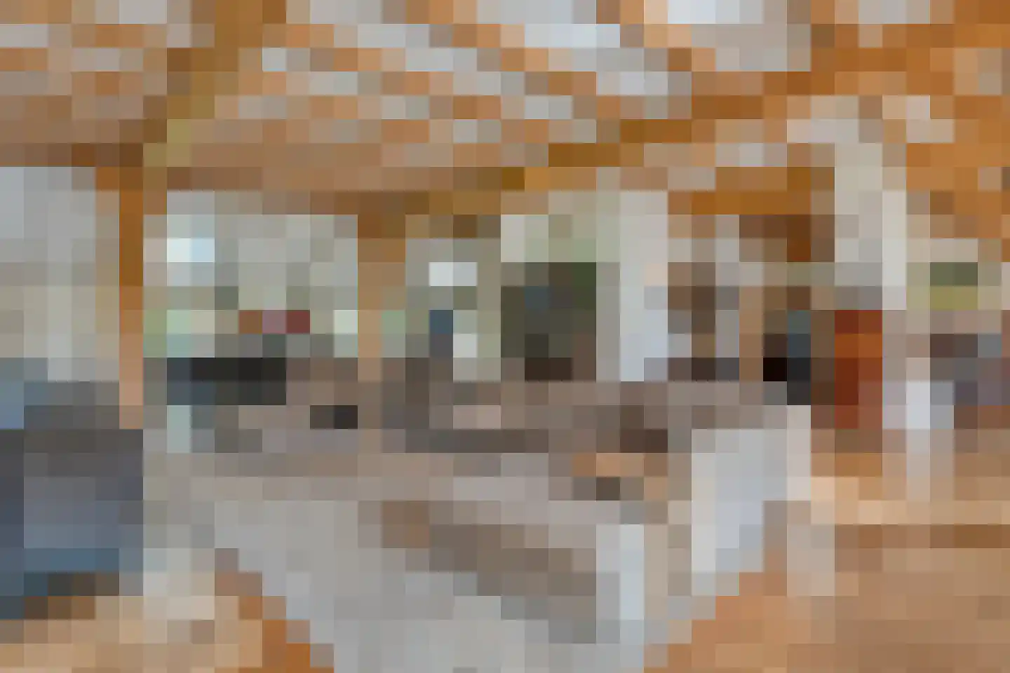 Busselterweg 2 Darp thumbnail 100