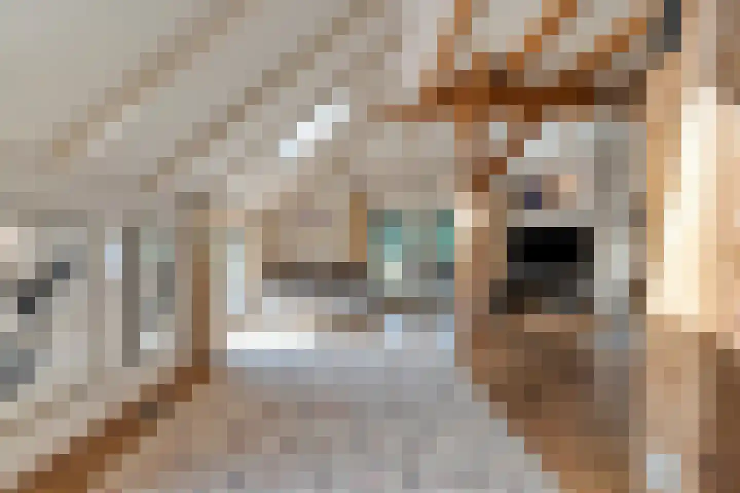 Busselterweg 2 Darp thumbnail 101