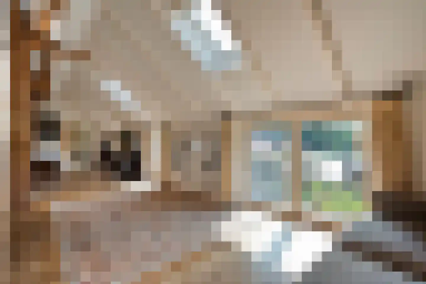Busselterweg 2 Darp thumbnail 102