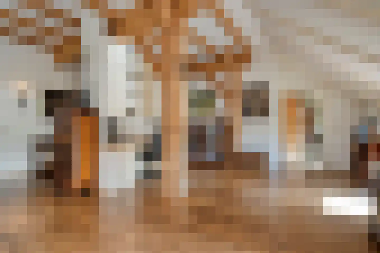 Busselterweg 2 Darp thumbnail 103