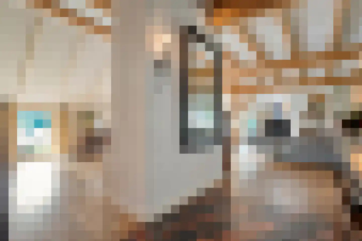 Busselterweg 2 Darp thumbnail 105