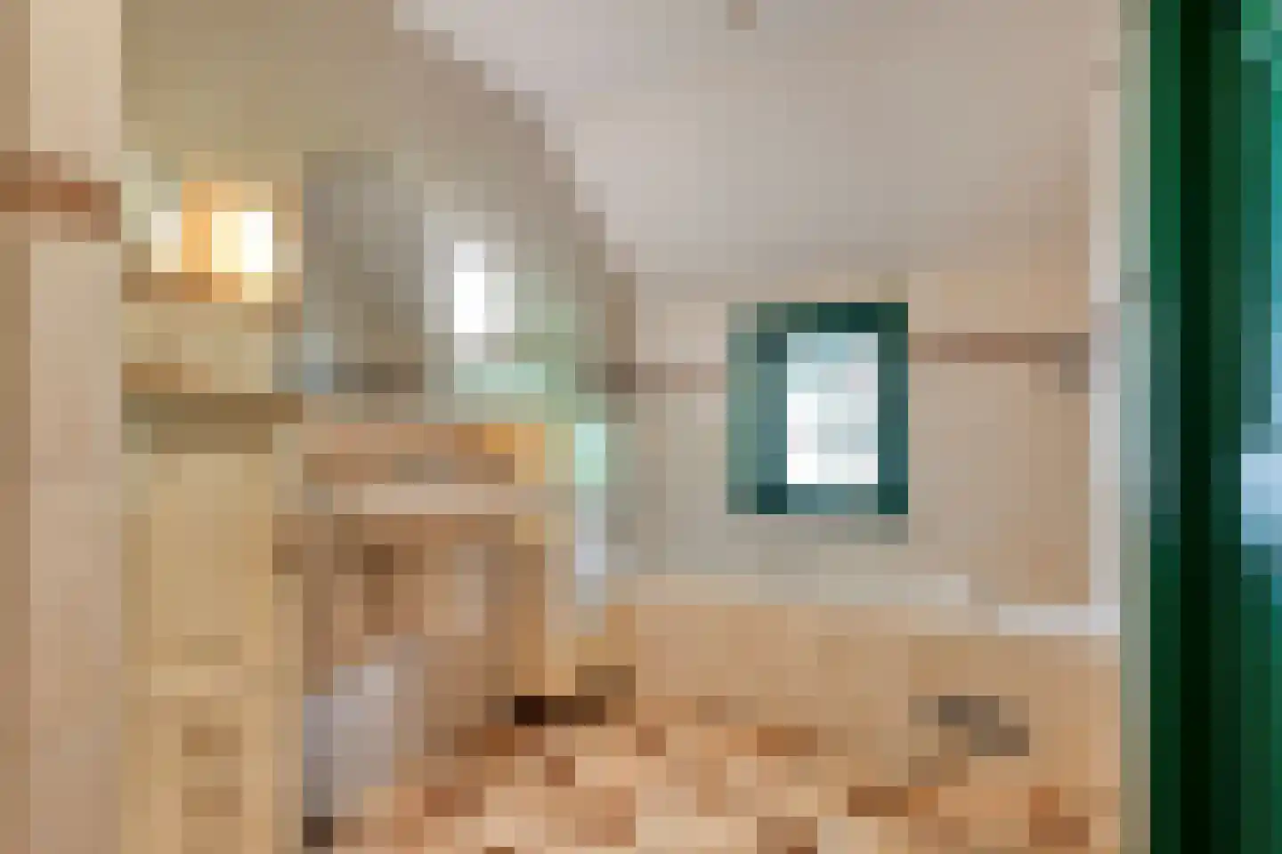 Busselterweg 2 Darp thumbnail 127