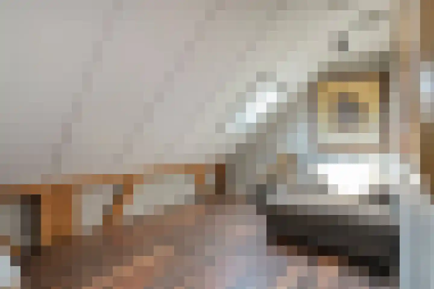 Busselterweg 2 Darp thumbnail 144