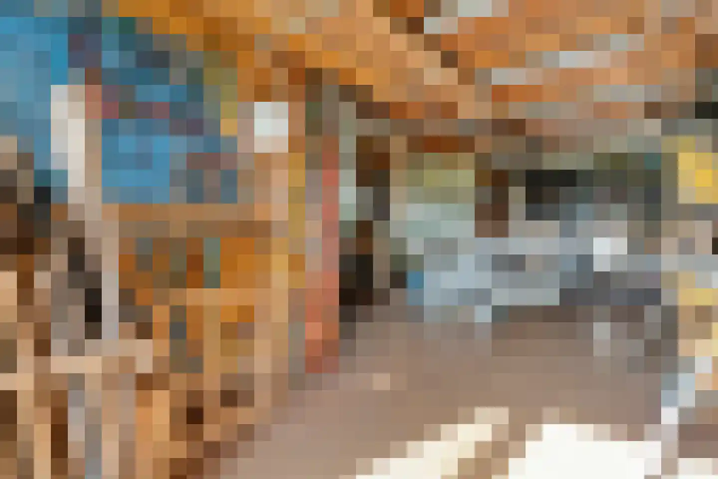 Busselterweg 2 Darp thumbnail 161
