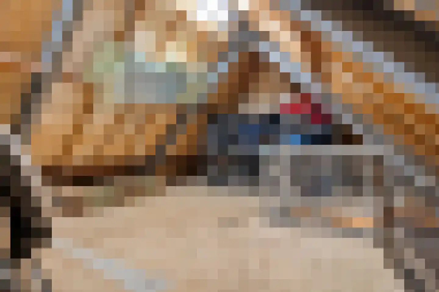 Busselterweg 2 Darp thumbnail 164