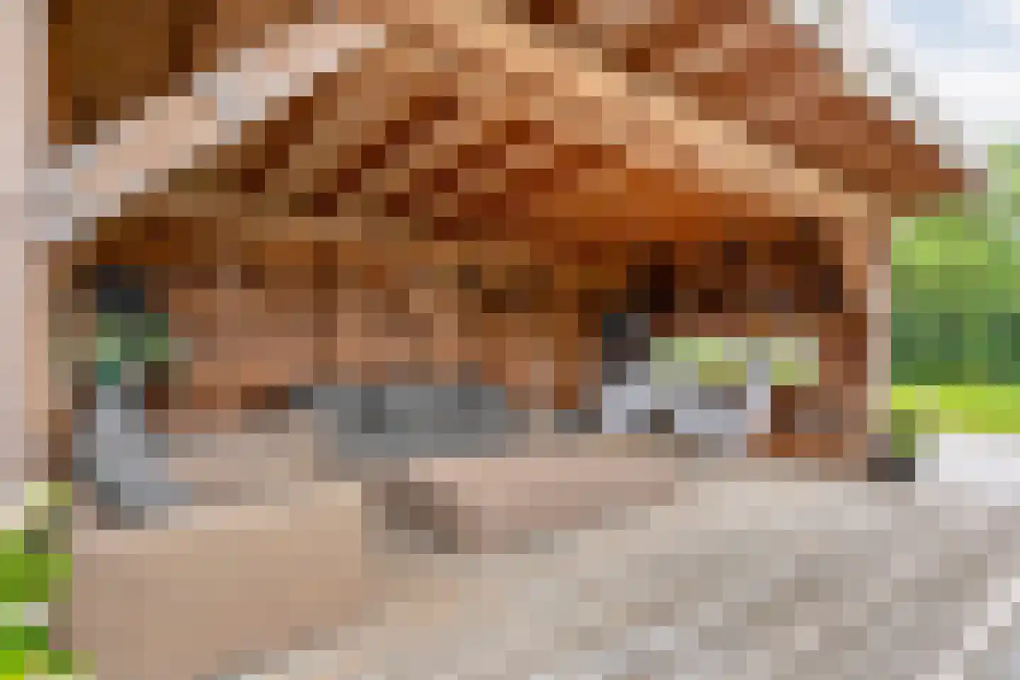 Busselterweg 2 Darp thumbnail 18