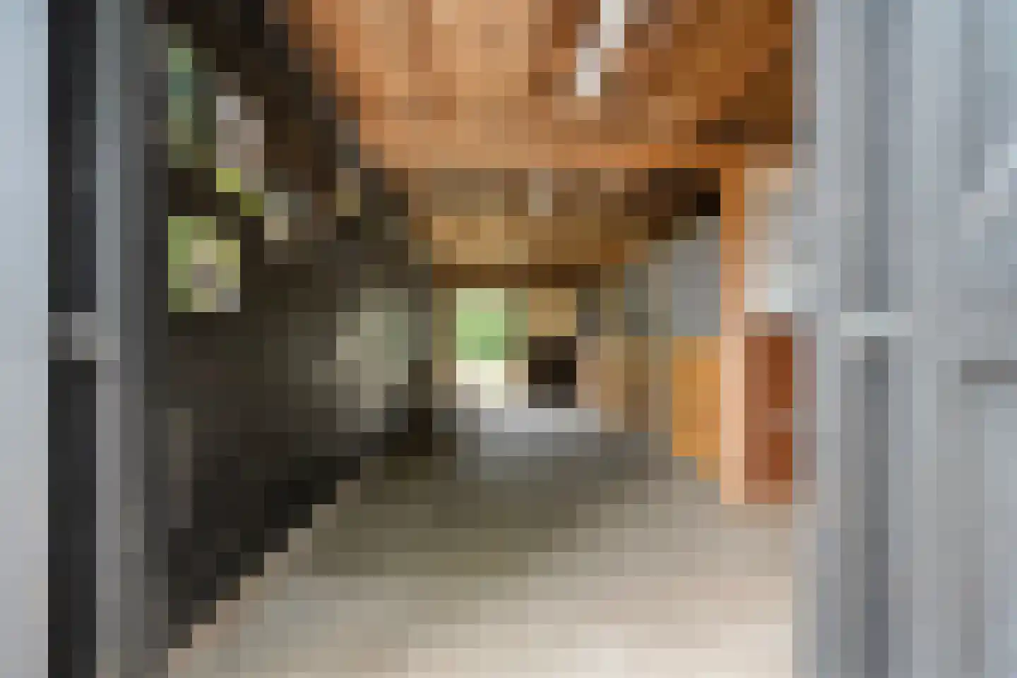 Busselterweg 2 Darp thumbnail 26