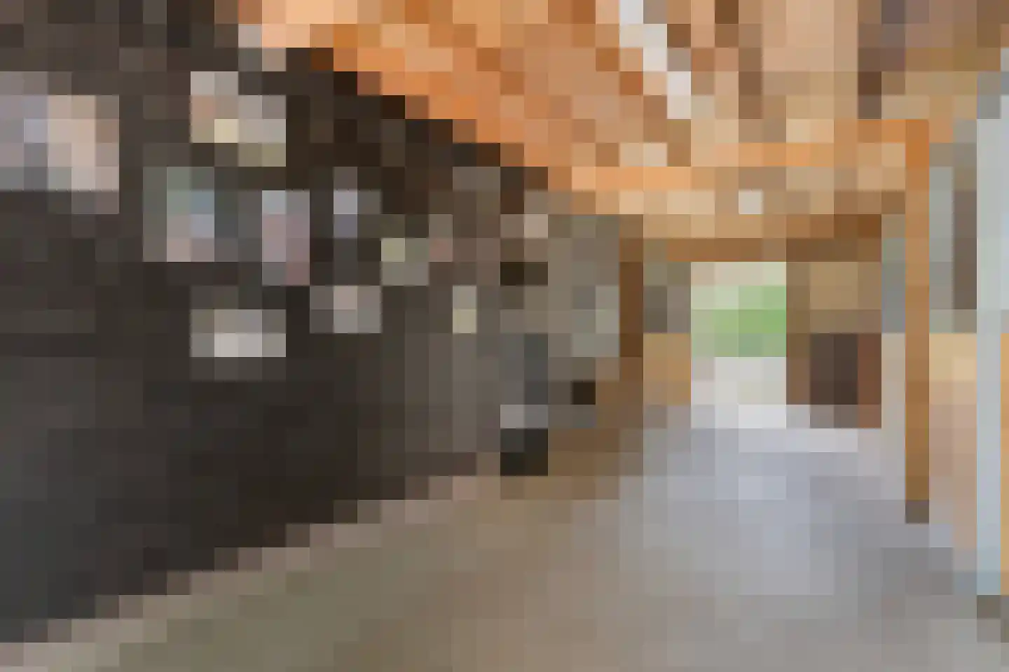 Busselterweg 2 Darp thumbnail 27