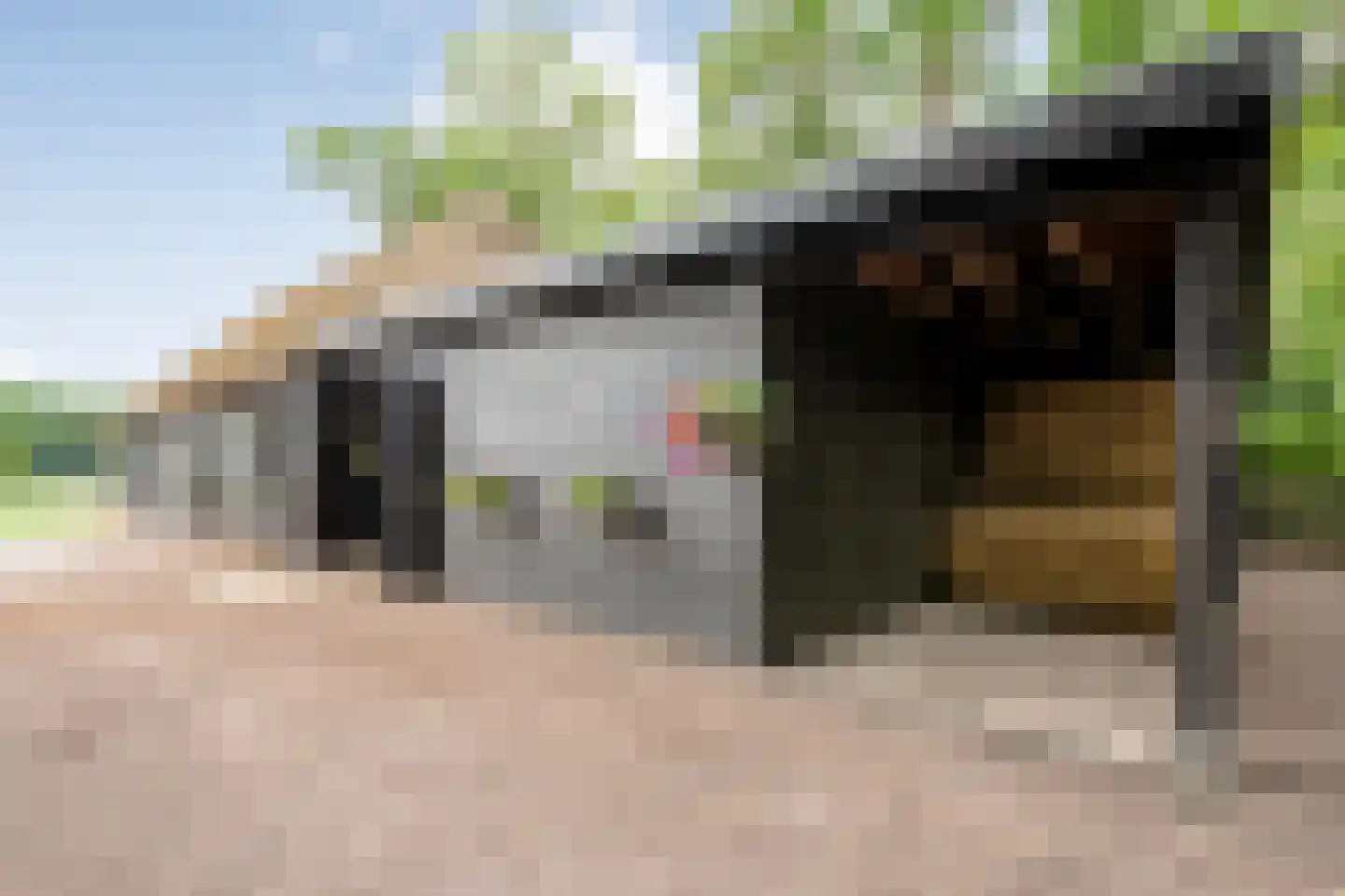 Busselterweg 2 Darp thumbnail 30