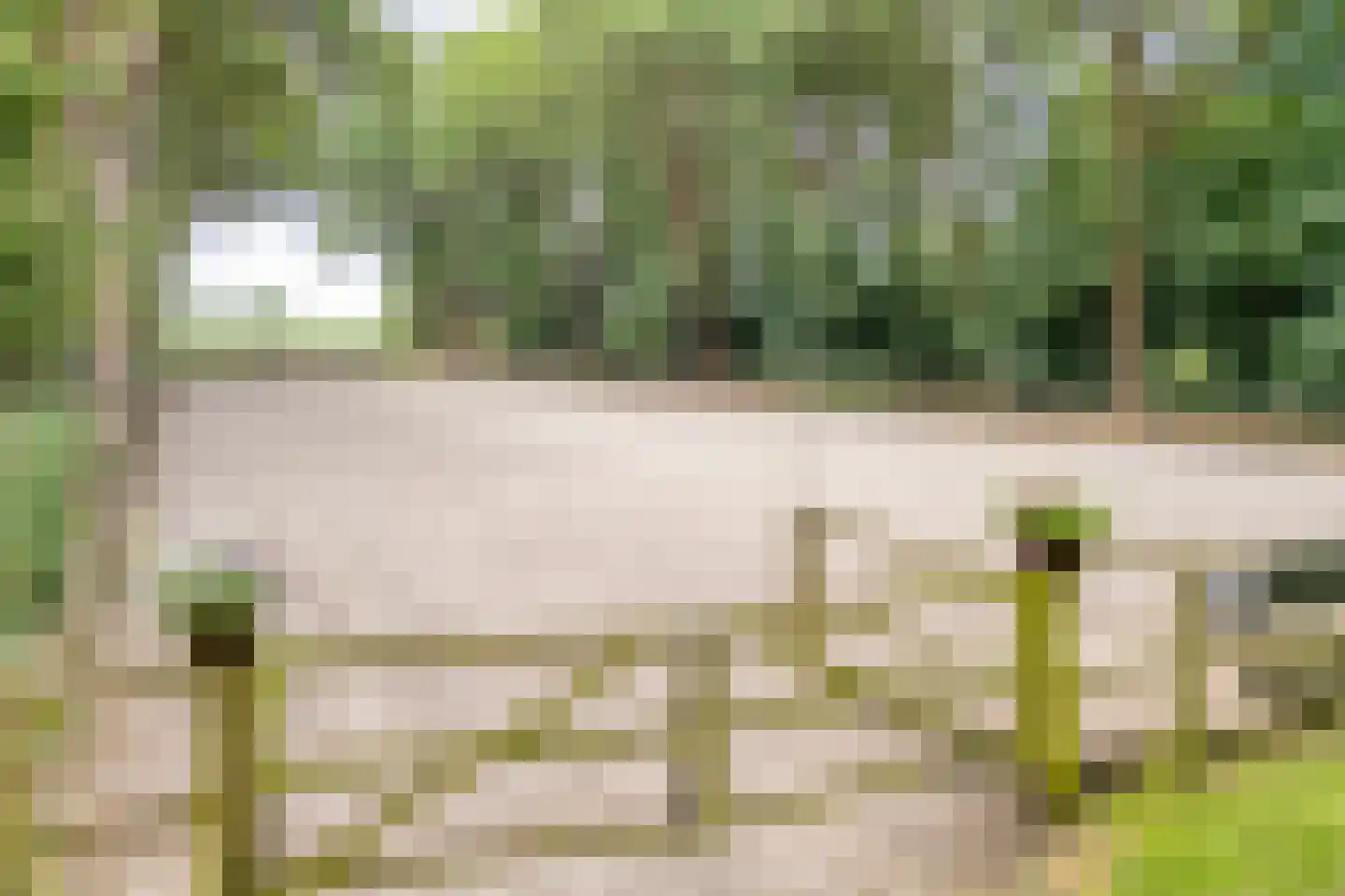 Busselterweg 2 Darp thumbnail 32