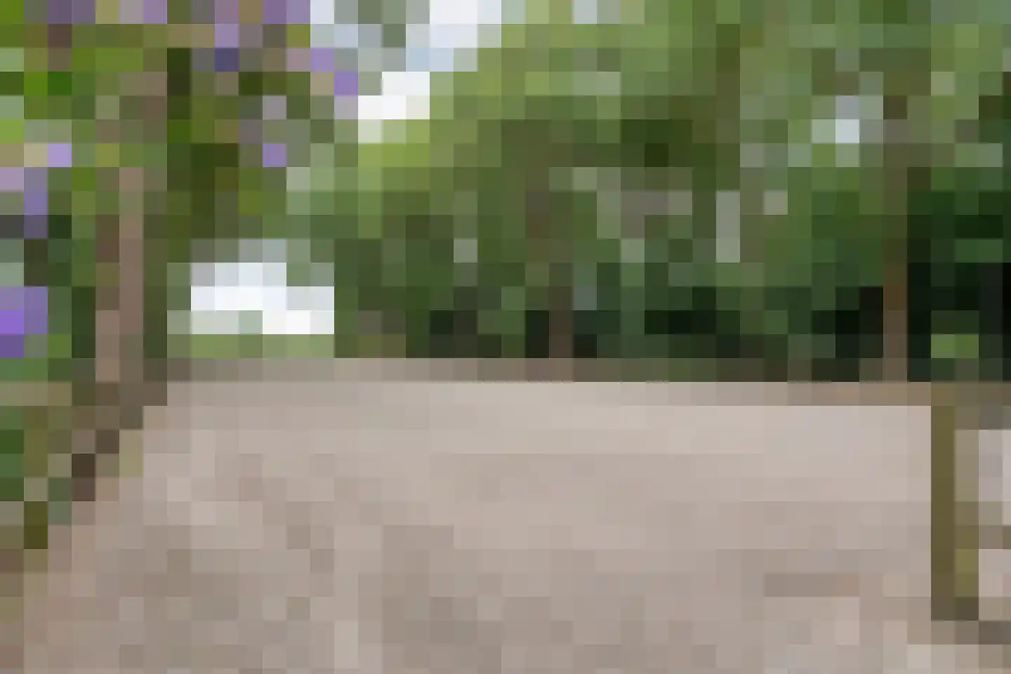 Busselterweg 2 Darp thumbnail 34