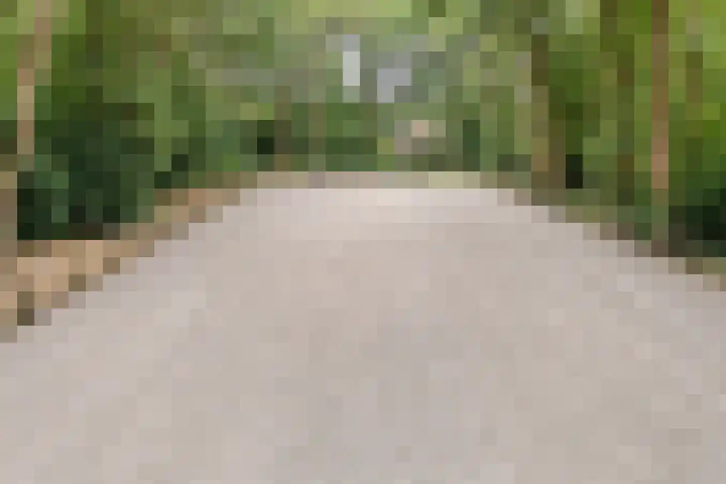 Busselterweg 2 Darp thumbnail 35