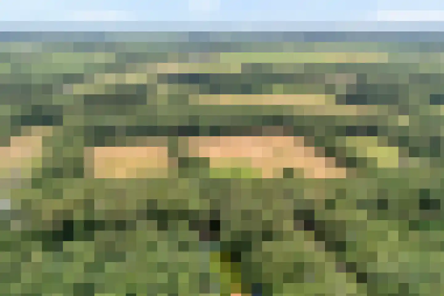 Busselterweg 2 Darp thumbnail 37