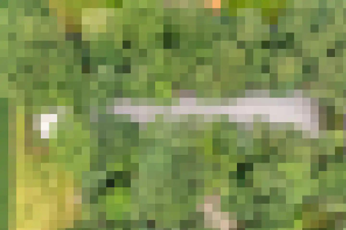Busselterweg 2 Darp thumbnail 38