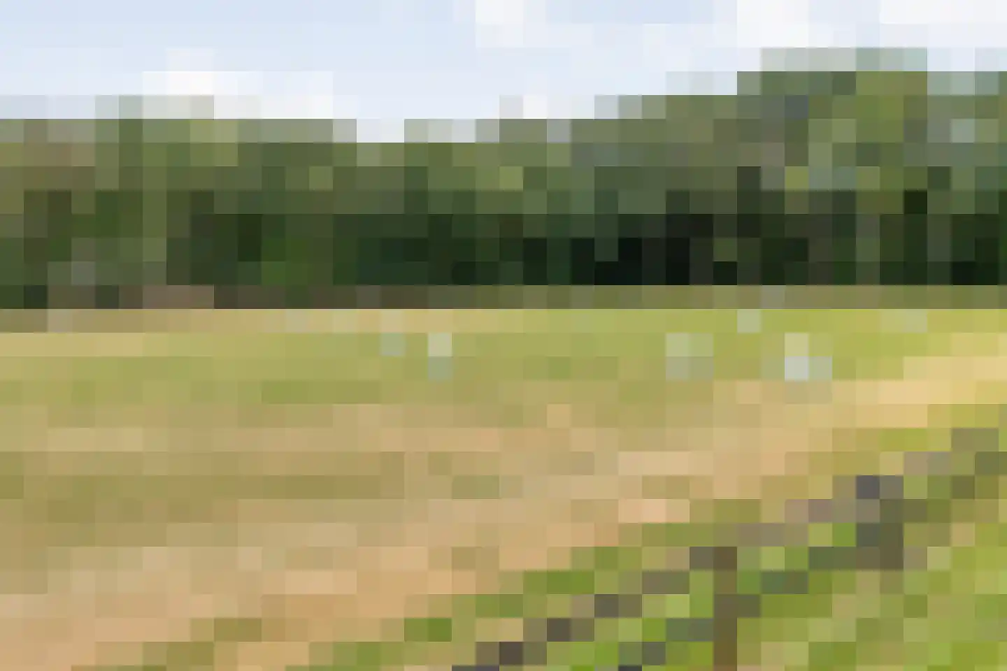 Busselterweg 2 Darp thumbnail 39