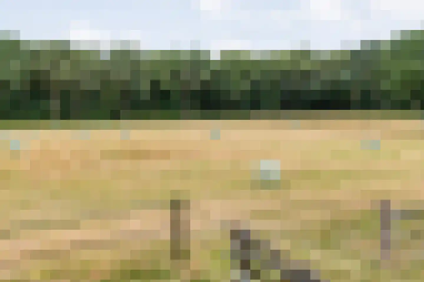 Busselterweg 2 Darp thumbnail 40