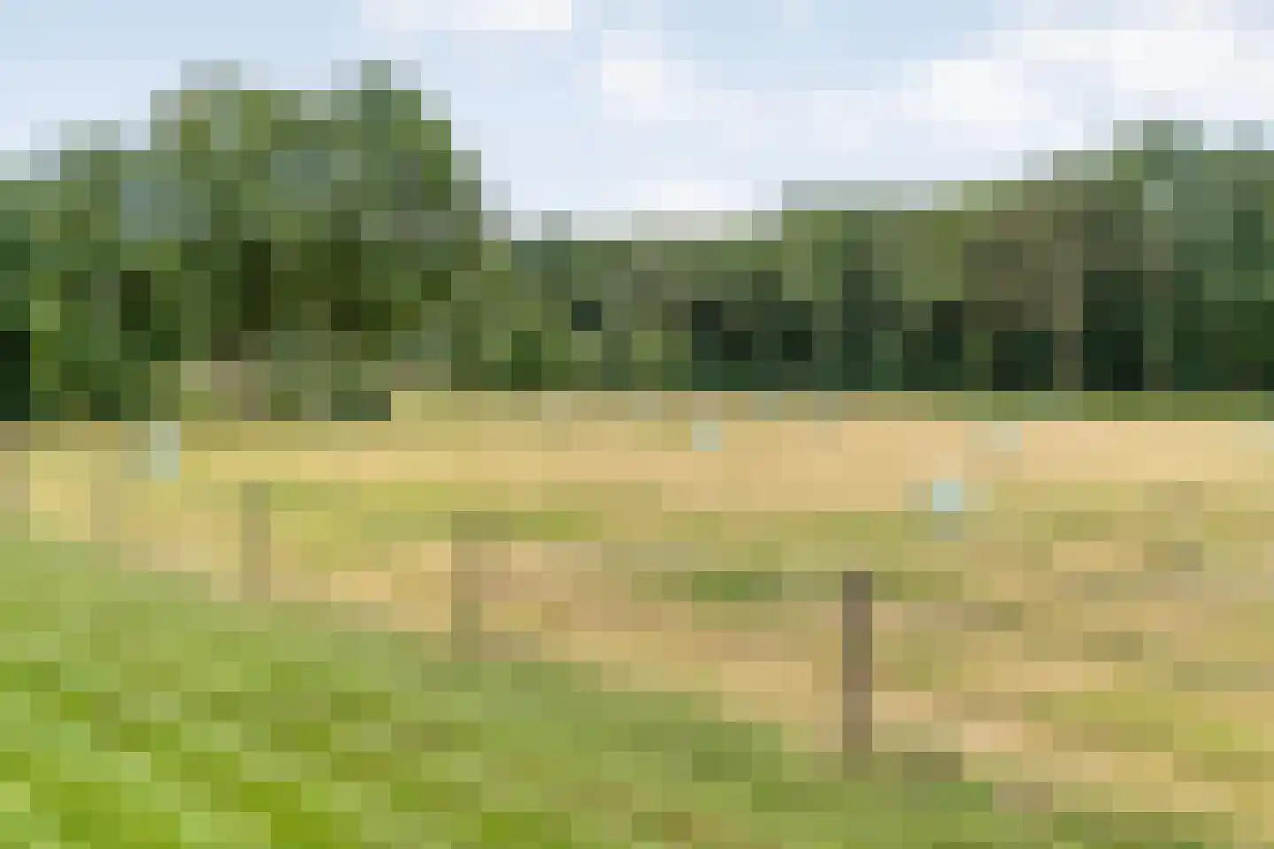 Busselterweg 2 Darp thumbnail 41