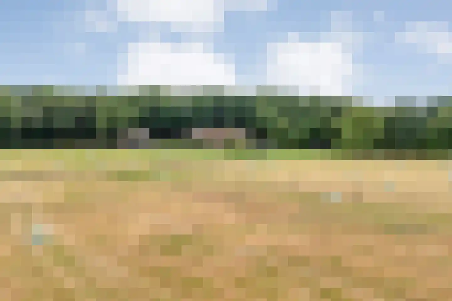 Busselterweg 2 Darp thumbnail 43