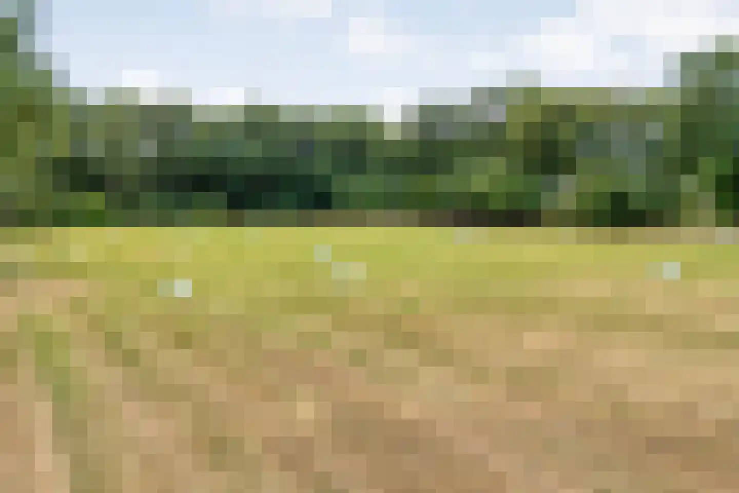 Busselterweg 2 Darp thumbnail 44