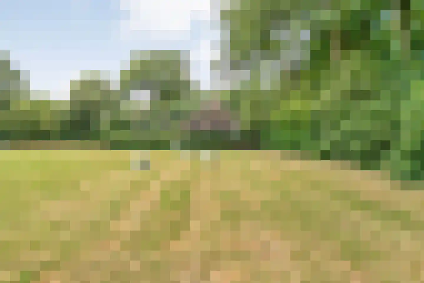 Busselterweg 2 Darp thumbnail 45