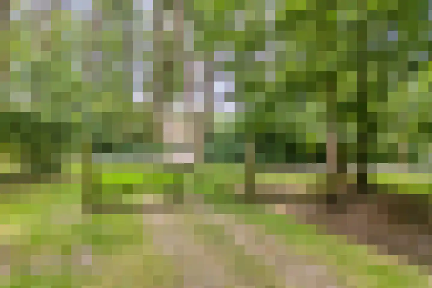 Busselterweg 2 Darp thumbnail 46
