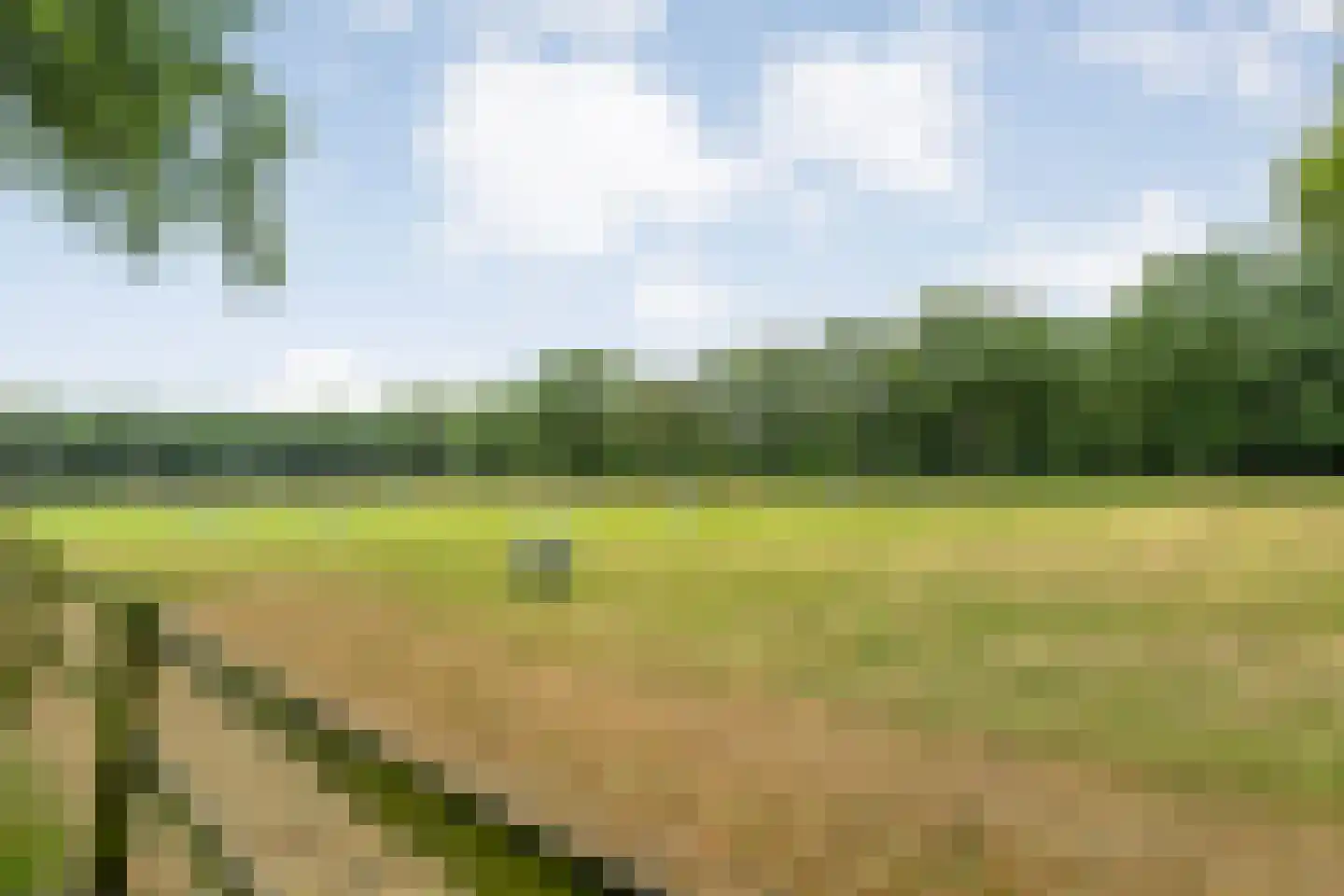 Busselterweg 2 Darp thumbnail 48