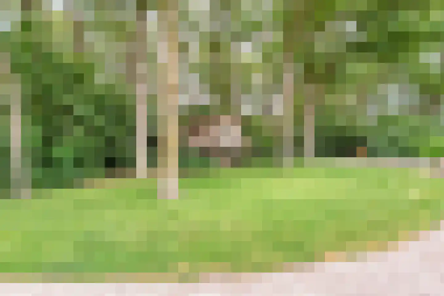 Busselterweg 2 Darp thumbnail 49