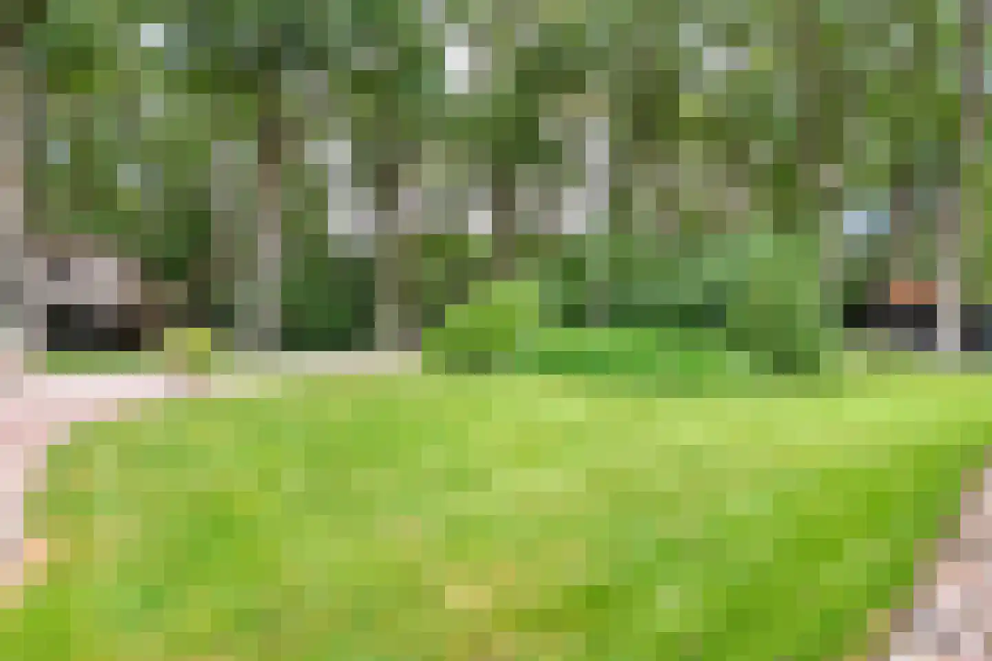 Busselterweg 2 Darp thumbnail 52