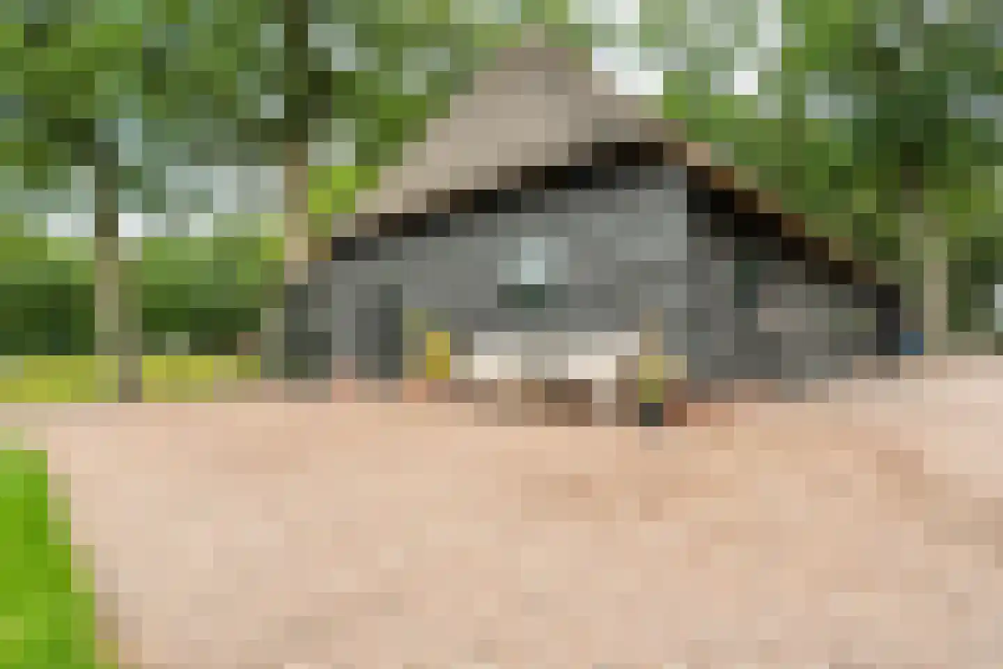 Busselterweg 2 Darp thumbnail 55