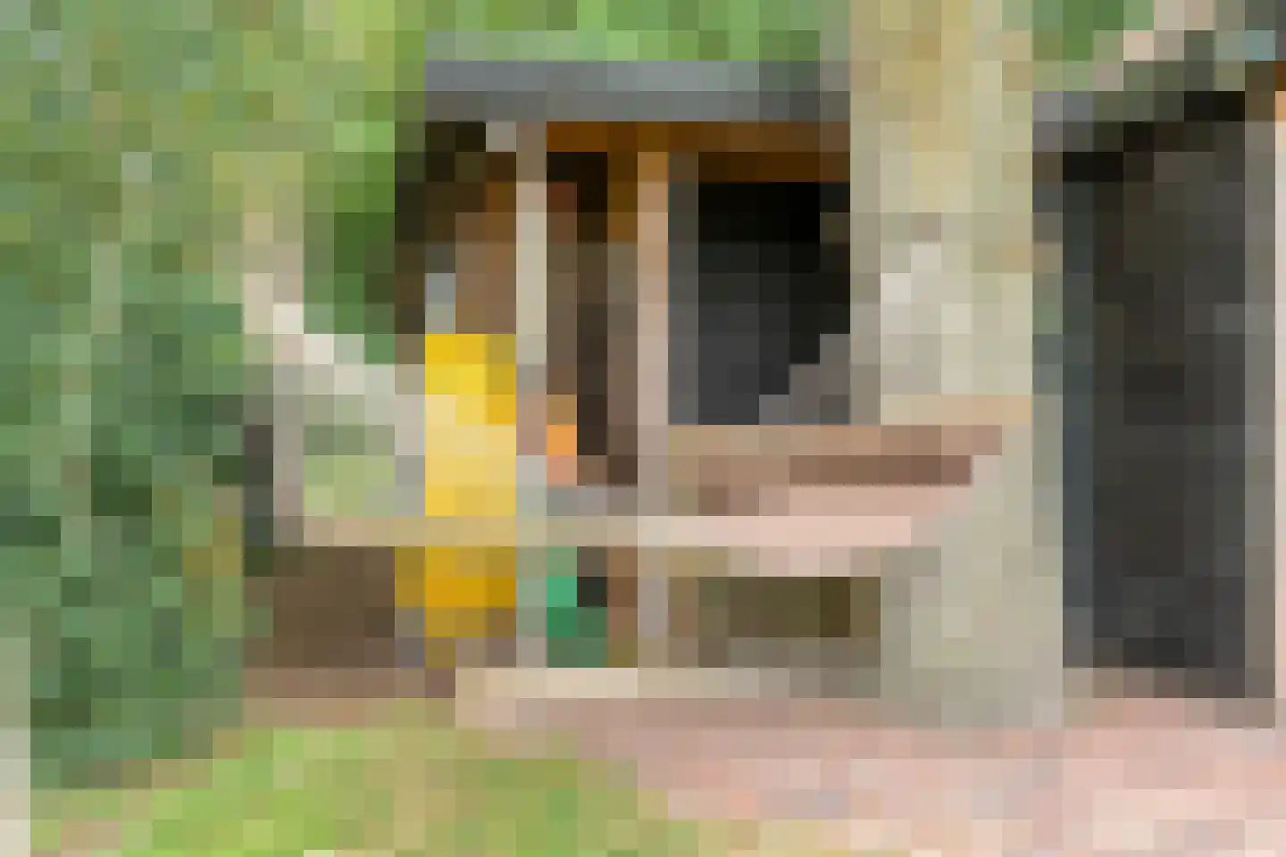 Busselterweg 2 Darp thumbnail 56