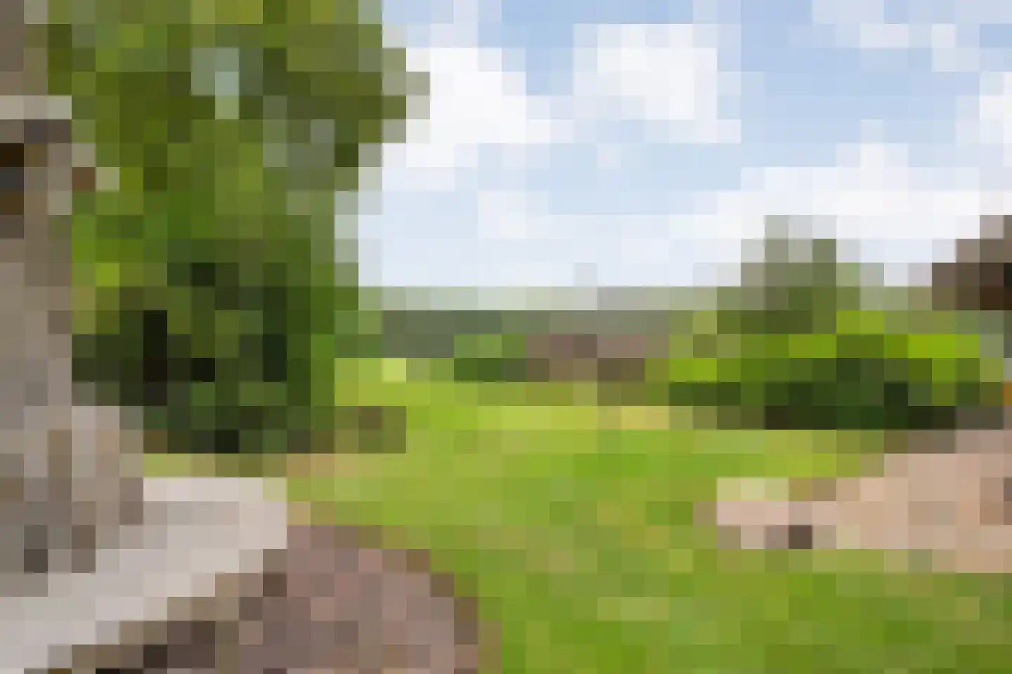 Busselterweg 2 Darp thumbnail 59