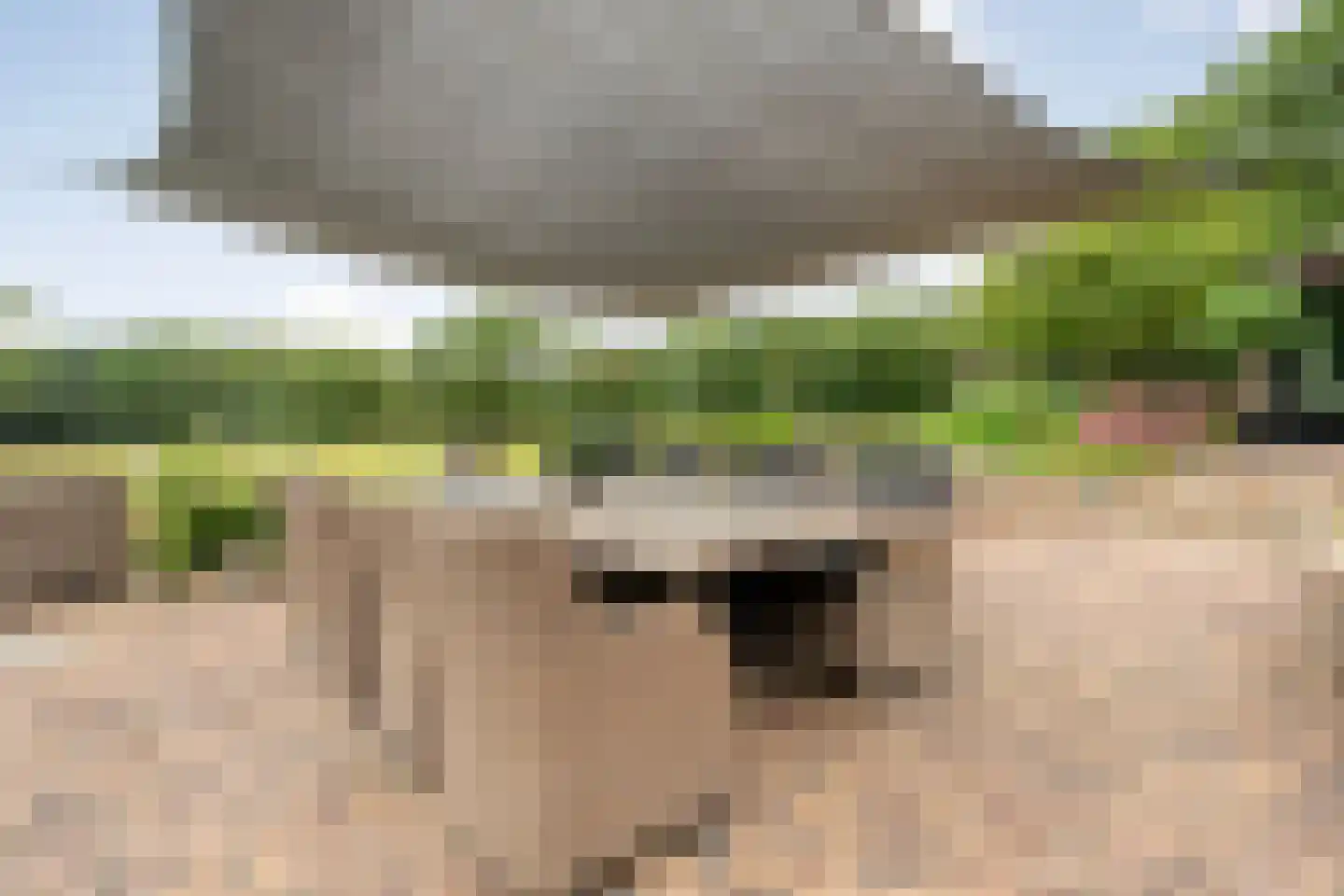Busselterweg 2 Darp thumbnail 62