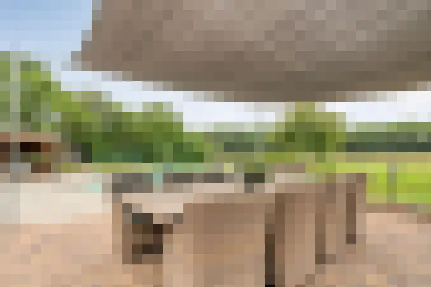 Busselterweg 2 Darp thumbnail 63