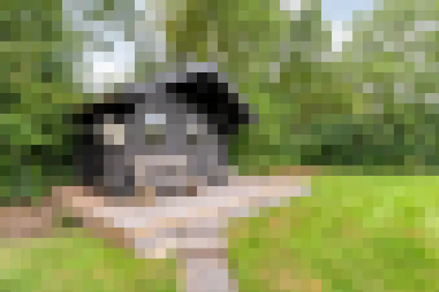 Busselterweg 2 Darp thumbnail 64