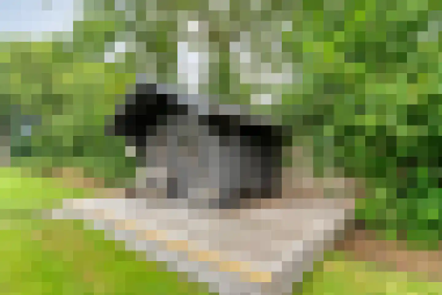 Busselterweg 2 Darp thumbnail 65