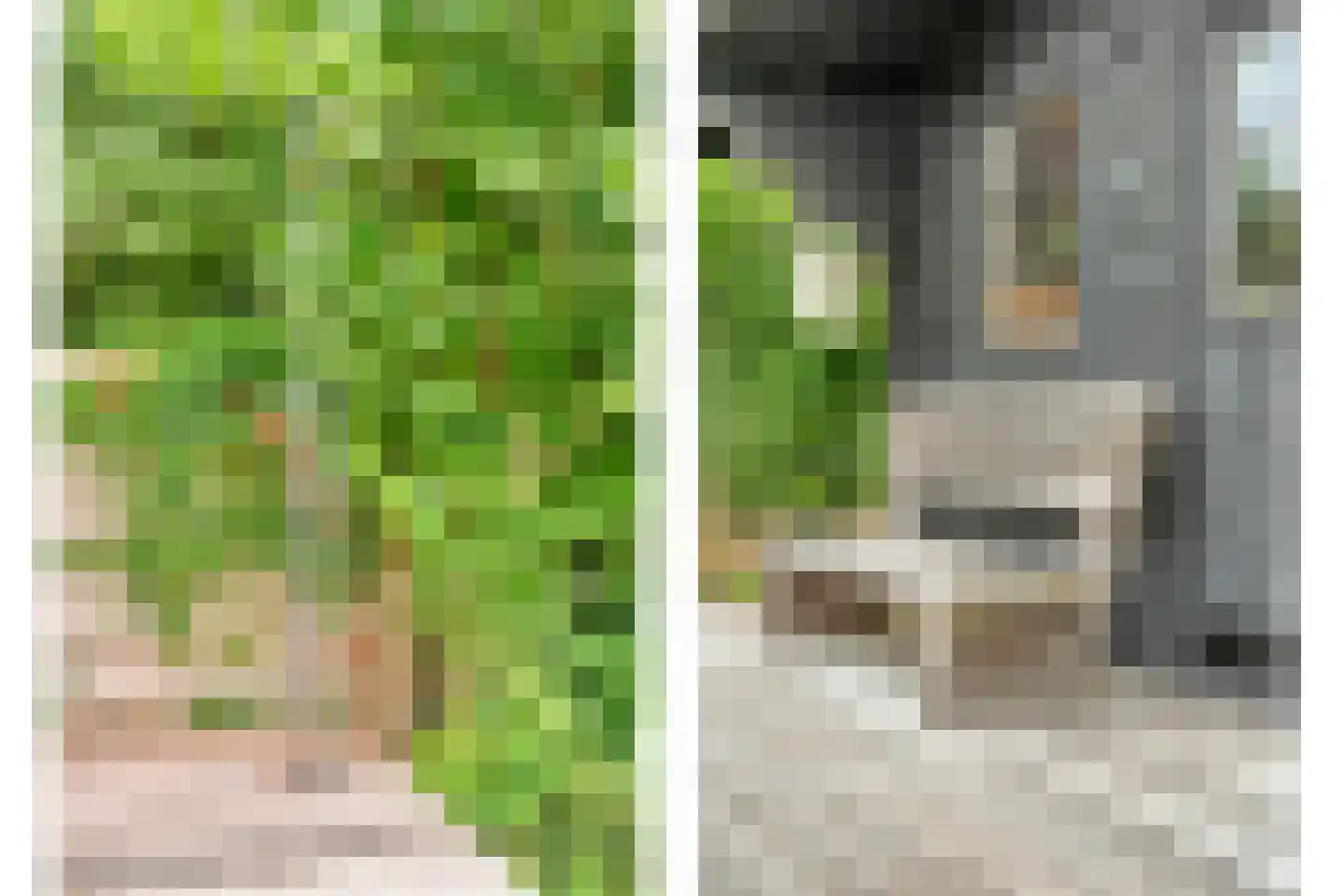Busselterweg 2 Darp thumbnail 66